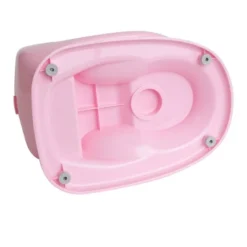 Nuby My Real Potty Chair -Graco Sales GUEST 13555e9d 1dd9 423e beca f8d451821094