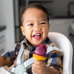 Boon Pulp Freezer Tray - 2pk -Graco Sales GUEST 20f6a54e 138d 4340 95e7 dac8755bb53d