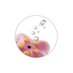 Plantoys| Sea Life Bath Set -Graco Sales GUEST 4c30beb0 8d92 4060 a861 f5897cef0192