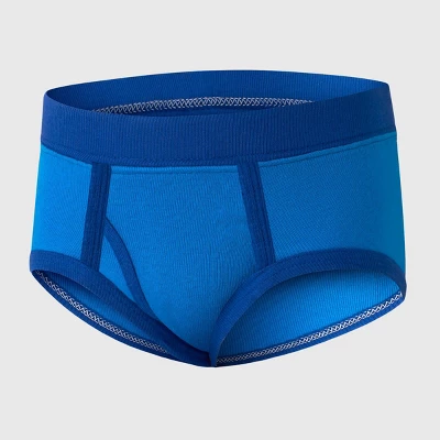 Hanes Toddler Boys' Briefs - Blue 5 Hanes Toddler Boys' Briefs - Blue - Image 3
