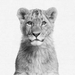 Black And White Nursery Safari - 4 Piece Framed Gallery Wall Set - Americanflat With Mat -Graco Sales GUEST 710eec6d b866 4e9f a3eb 5ca77fcf531c