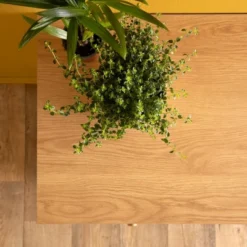 Teen Austin 5 Drawer Dressers - Dadada Baby -Graco Sales GUEST 83e095cd fc3f 43f2 b4db dc1c3e40d1aa