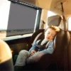 The Peanutshell Roller Baby Car Window Shades, 2-Pack Set
