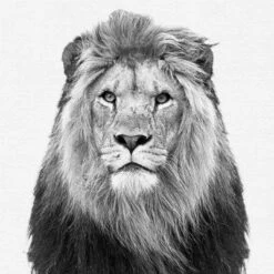 Black And White Nursery Safari - 4 Piece Framed Gallery Wall Set - Americanflat With Mat -Graco Sales GUEST a3e49565 75f4 4906 a04b 6b3ae141e49f