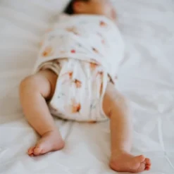 Embe Transitional Swaddle Wrap Out 26 Embe Transitional Swaddle Wrap Out -Graco Sales GUEST ab41b607 3778 454c 940e 71144b806e9f