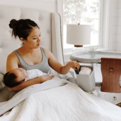 HALO Innovations BassiNest Swivel Sleeper Luxe - Dove Gray Tweed -Graco Sales GUEST c72d9639 9c0a 4288 a937 a4bbe7b76409