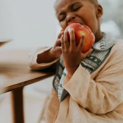 Little Unicorn Cotton Muslin Classic Bib Set - 3pk -Graco Sales GUEST db84ead0 f1f7 4729 bcc5 9b34921ed966