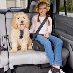 Graco Turbobooster 2.0 Backless Booster -Graco Sales GUEST e2ecfff0 39f0 43a1 a621 00873ca959b0