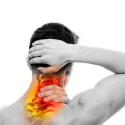 Lebogner Car Headrest Pillow -Graco Sales GUEST fb5743d6 b43a 4bdf b1e6 2cb8312ecc90